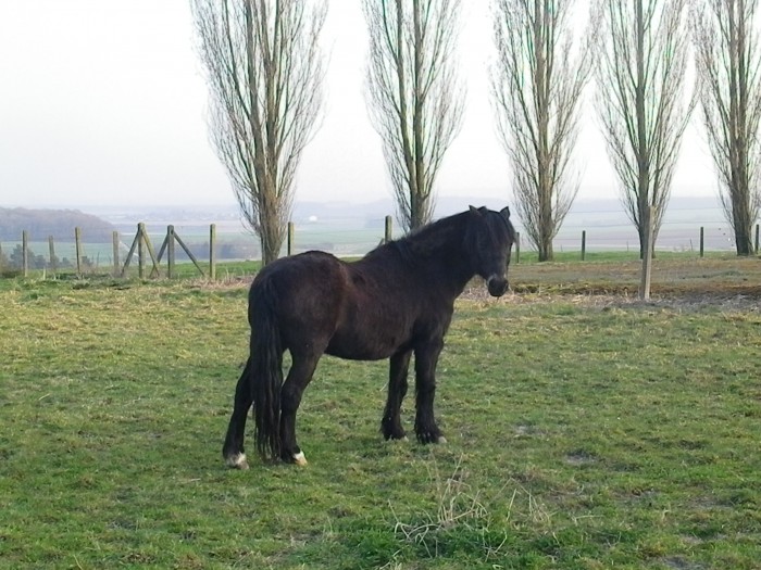 Lui le plus important a mes yeux.Papy d'amour (l)