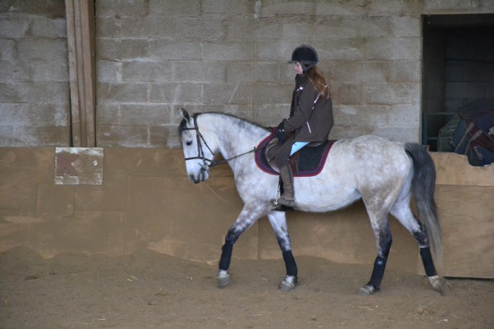 dressage avec sa propritaire