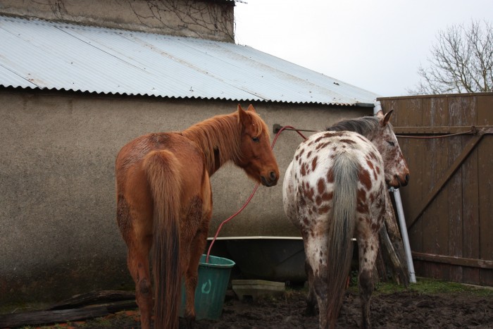 deux paire de fesse regardant le meme endroit