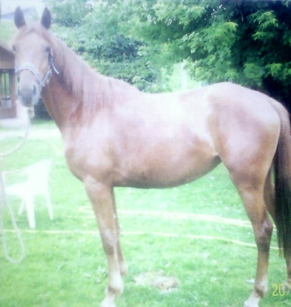 Roxane