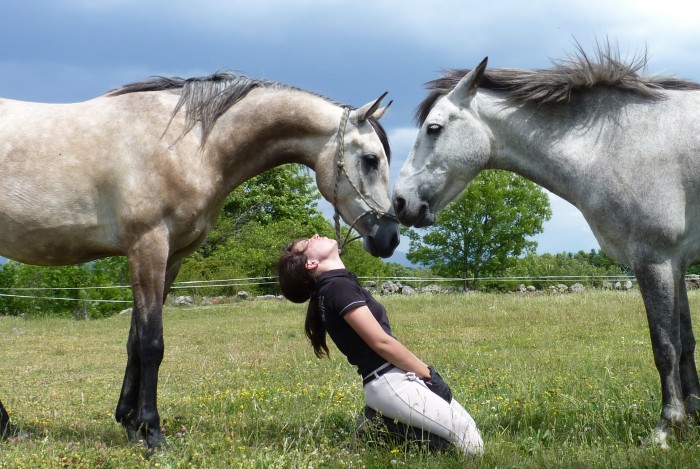 Tarkan de la rose et Cisco