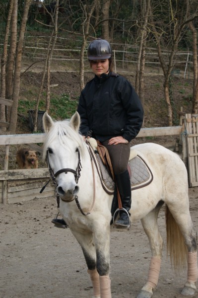 Tamaa, jument camargue