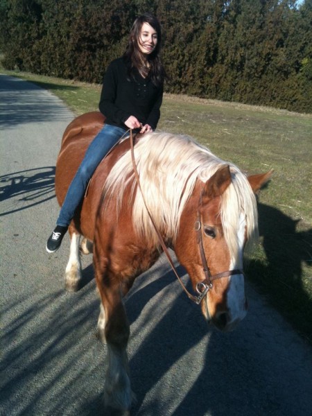 Ballade avec Falco(cheval de proprietaire), janvier 2012