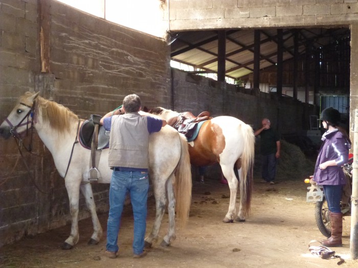 Jean-Louis prpare les chevaux avec ses clients