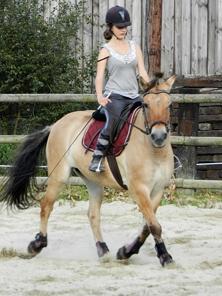 Un peu de dressage ...