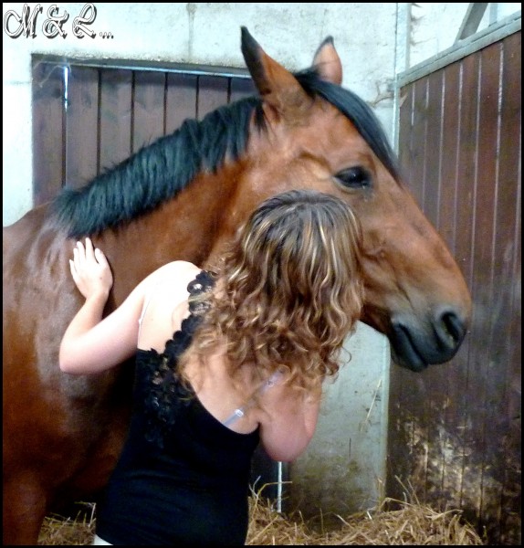 Lorry & moi dans son box avant prparation pour le cours. Je lui dois tout, ou presque...