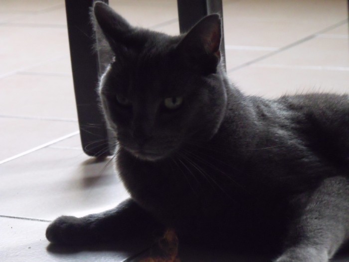 un de mes compagnons