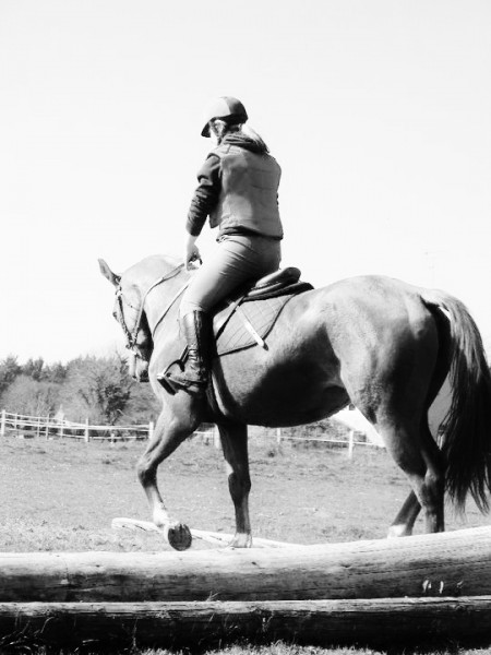 Picasso, valoris en obstacle. Aujourd'hui fait le bonheur de sa propritaire sur les barres.