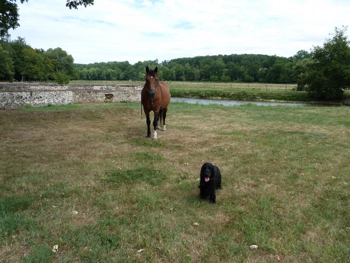 Unique & Arthur une belle quipe ces deux l!.