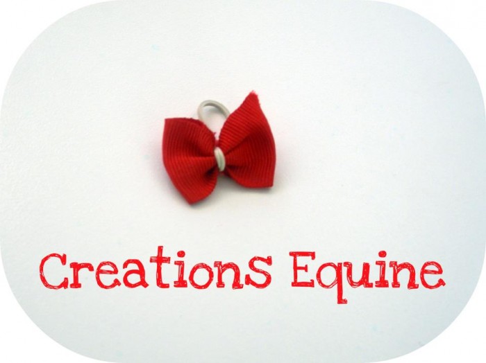 Me rejoindre sur Facebook : https://www.facebook.com/creations.equine