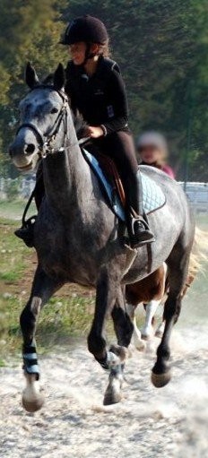 Premier essai de P'tit Boy au club et premire sortie en extrieur.