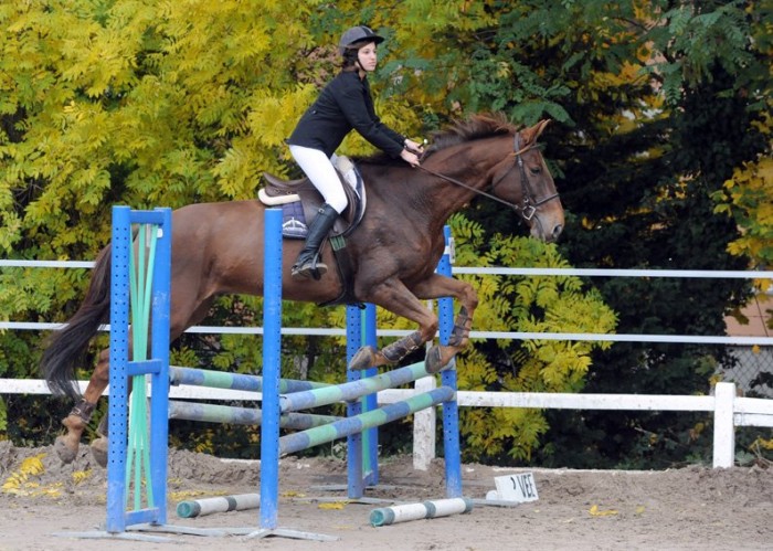 E1 - Fvrier 2012 - Oraje