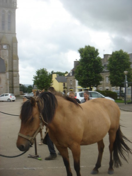 HAGEN DES FRESNES attend son tour