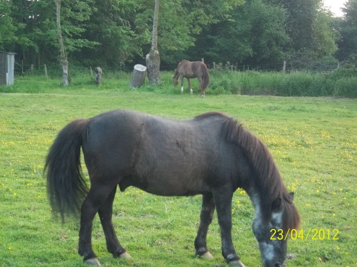 Elle et lui 