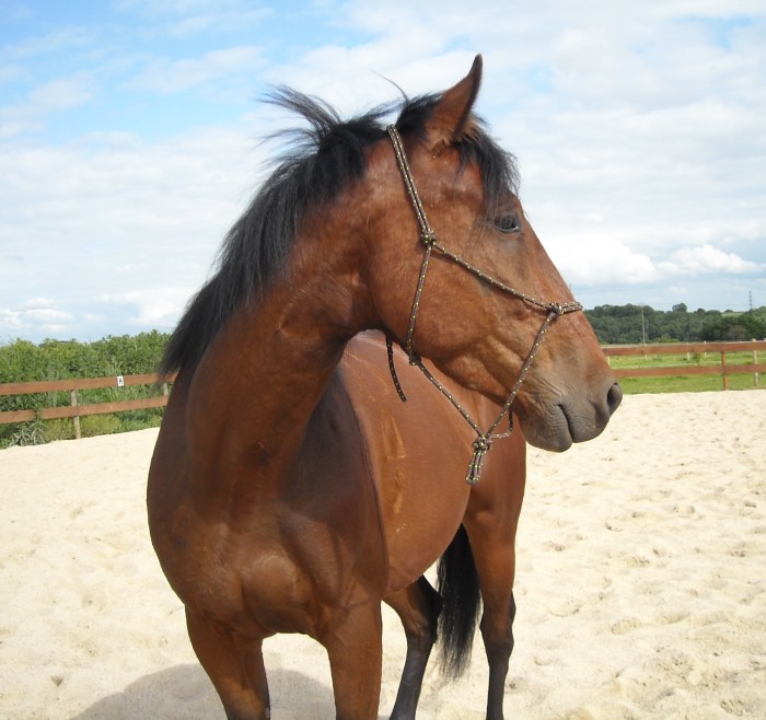 curieux ,mais curieux !