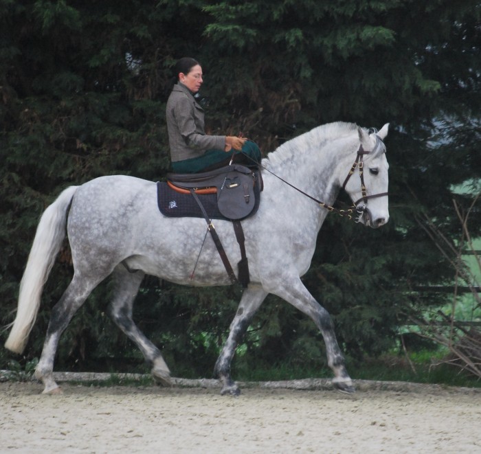 reprise entrainement lulu