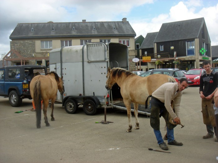 30 06 2012  on fait le "buzz"  PLOUIGNEAU