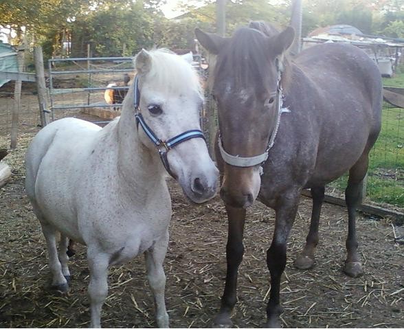 bella et caramel
