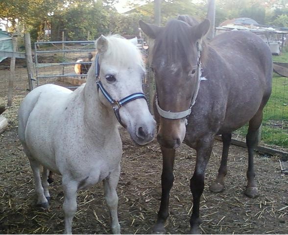 bella et caramel