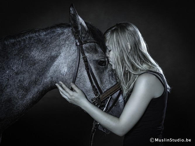 Mia Lusitanienne Jument 7ans photo prise en piste couverte