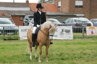 Voici Nuage et Moi {j'avais 11ans} en comptition de Dressage.