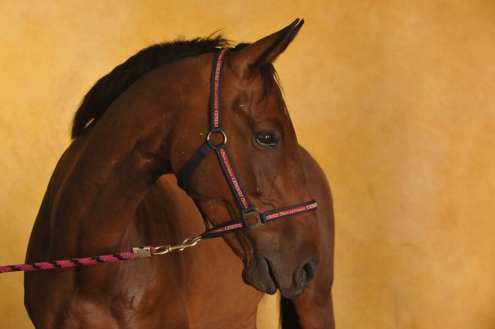 S�ance photo Le studio by Maindru