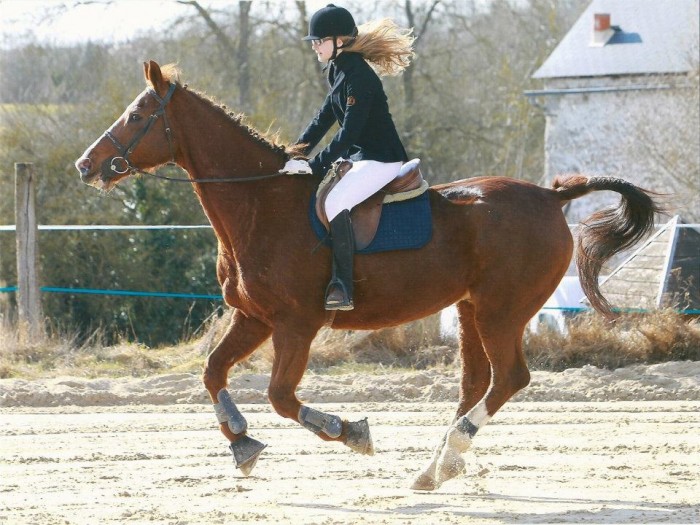 Mon Amour <3 