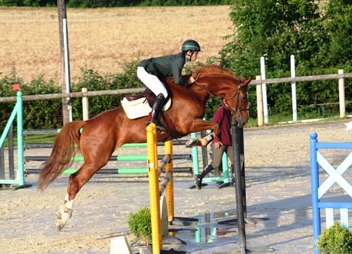 Santonic du Lozon