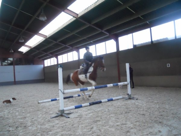 poca quand elle saute ! Cheval d'obstacle ,  prsicer ;) . Je l'aime tellement <3 !!