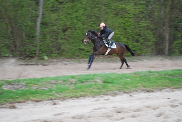 moi et un cheval a l'entrainement