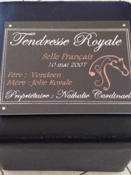 plaque tendresse