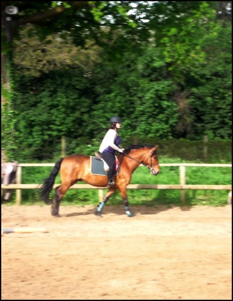 Mai 2012