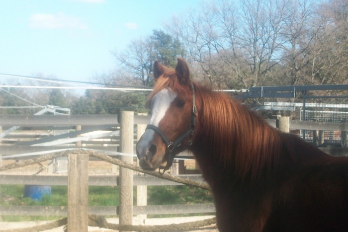 l'amour de ma vie &#9829;