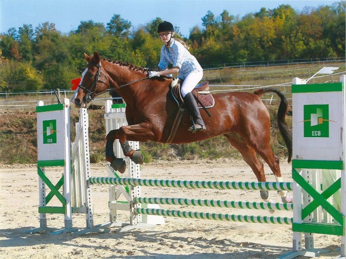 Gin Sweet : Ou le Cheval Parfait <3 !! 