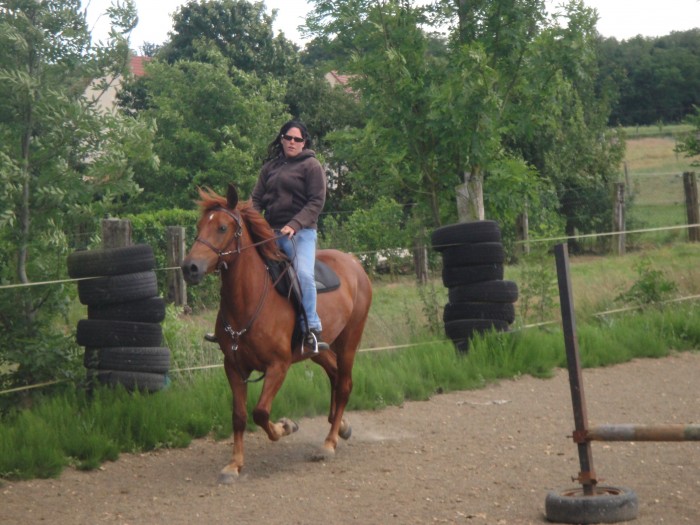 Cours mise en selle/dressage juin 2012