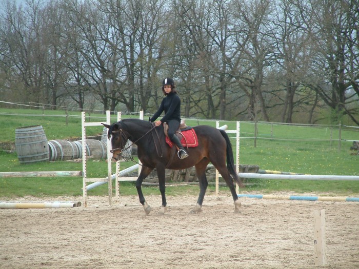 Petite Jument. . . ♥