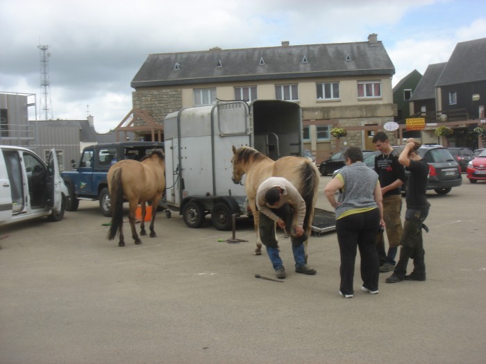 30 06 2012 ferrures et vaccination sur le place du village