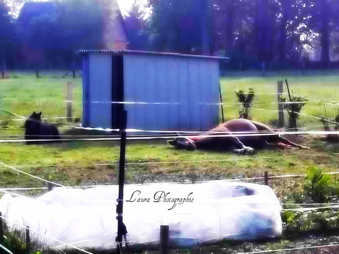L'heure de la sieste :P