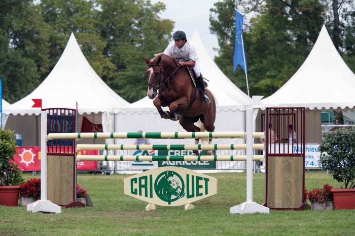 Chevaux de sport