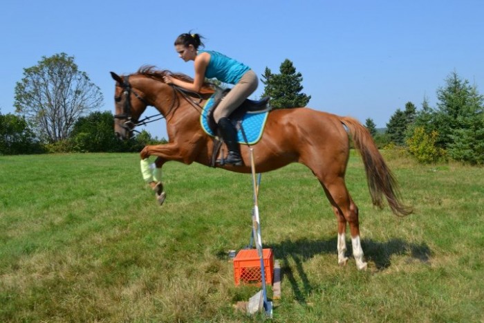 Moi & louyana sur un saut 2p6 (: