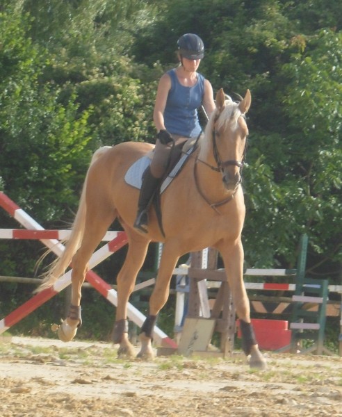 2012 Au travail chez BELZ EQUITATION