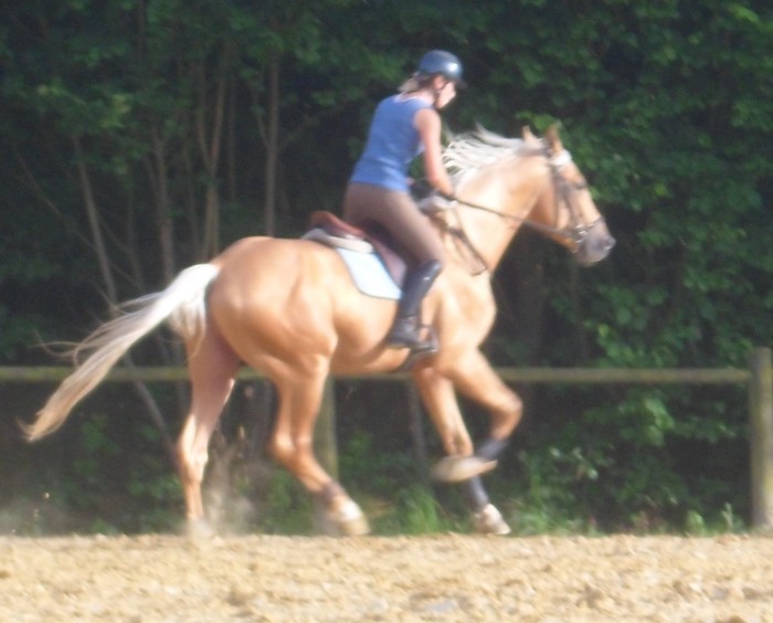 2012 Au travail chez BELZ EQUITATION