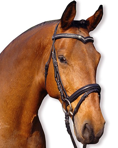 recherche bridon taille cob muserole combine de preference