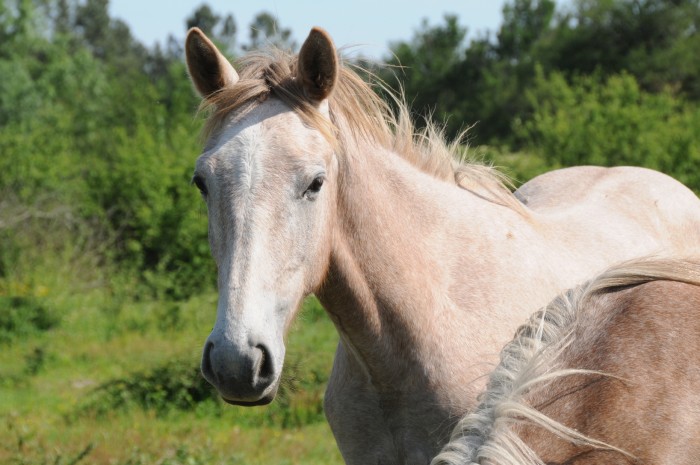 Copyright Eternel Instant - Emilie TEYSSEDRE