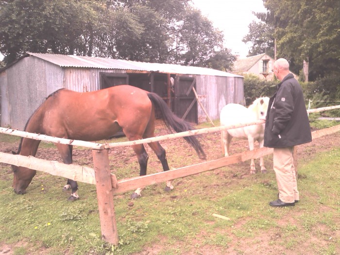 tornade du marlou et petit poney