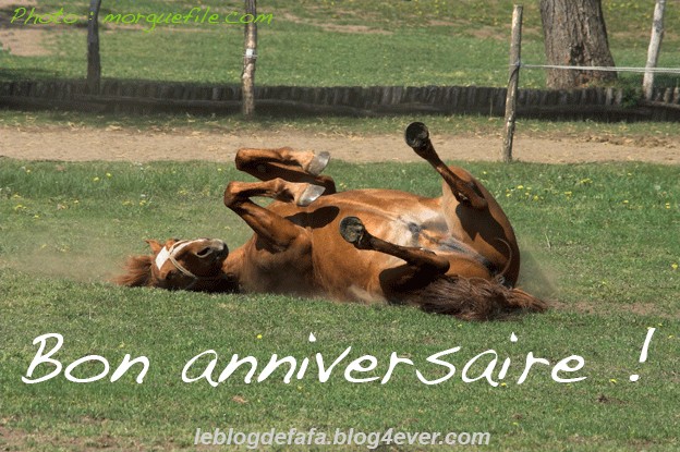 Une des photos sur mon blog