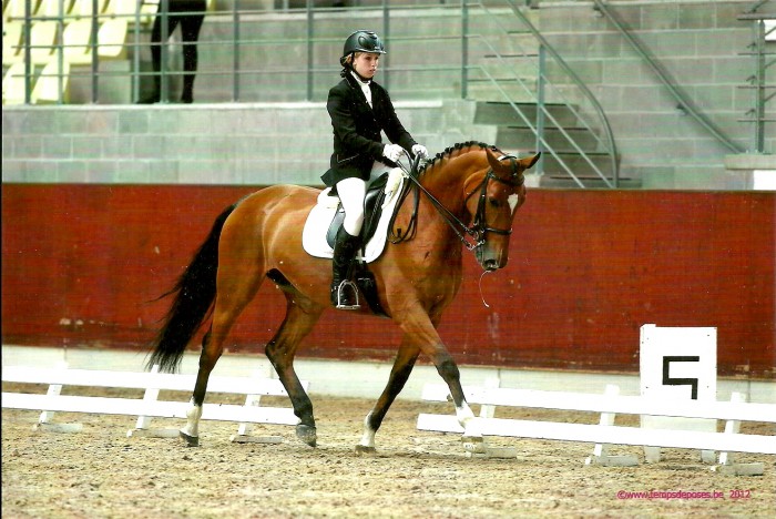 examen de dressage Gesves