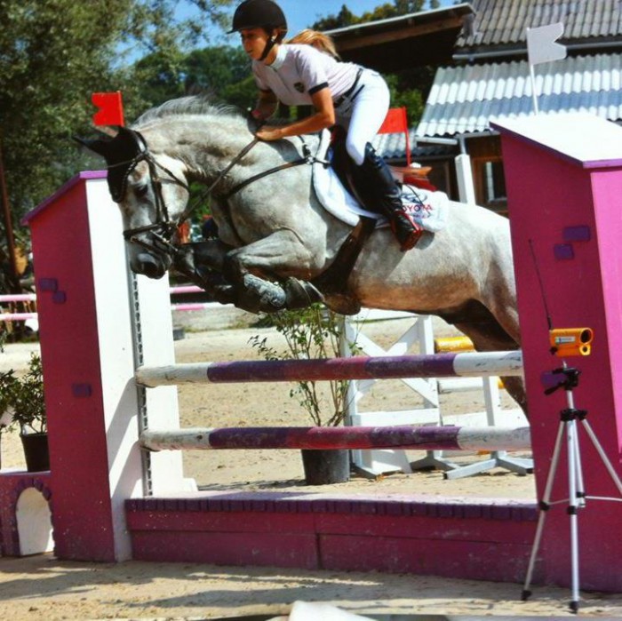 Torc'hpedo (dit Torpdo) PFS de 5 ans (Don Juan V x Appollon Pondi) 