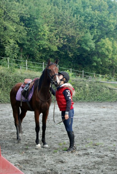 Vulta Princ' des Beaux , SF de 3 ans (Utah Van Erpekom x Visage) 1m46 ... juste dbourre :) !! 