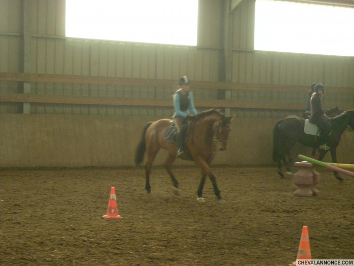 Toujours avec mitou <3